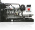 Générateur multifonctionnel de moteur diesel, durée de longue durée de réserve diesel de générateur