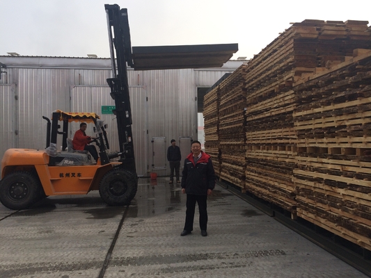 Forneau de séchage rapide du bois pour bois tendre entièrement automatique 30 - 150 m3